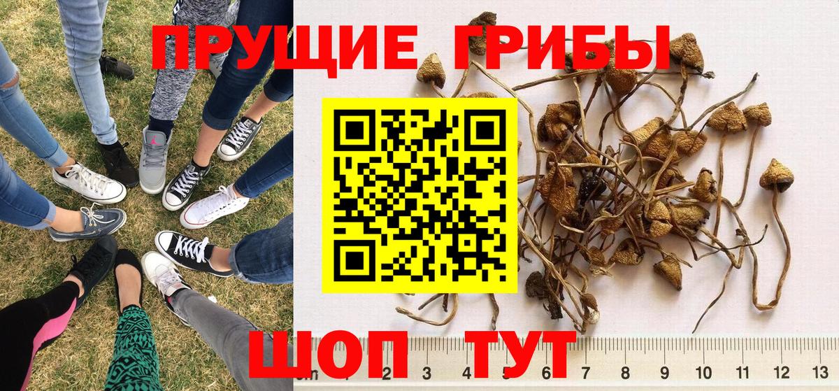 Галлюциногенные грибы ЛСД  Вход с VPN  Шелехов 